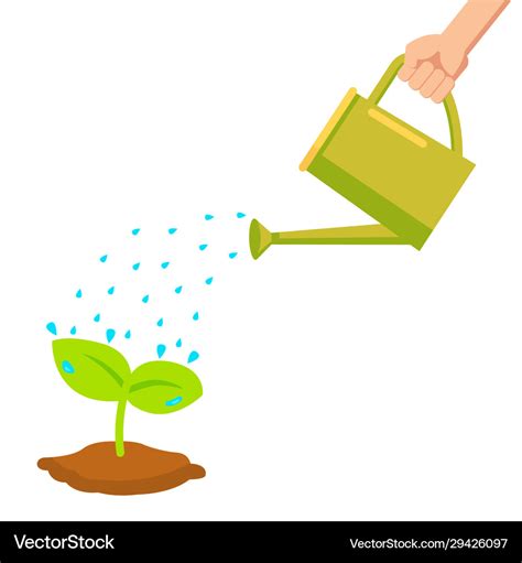 Hand Holding Watering Can Watering Plant In Pot Vector Image