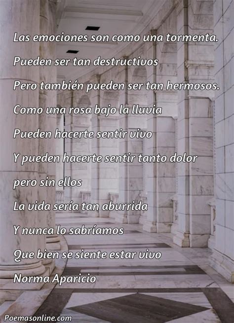 5 Mejores Poemas Sobre Las Emociones Poemas Online