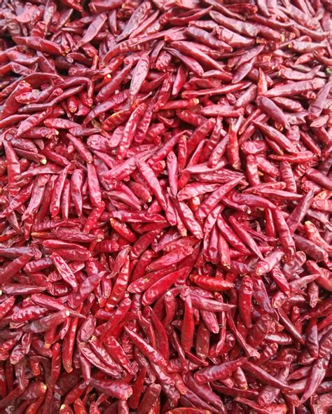Best Quality Dry Red Chilli China Dry Chilli And Dried Chilli