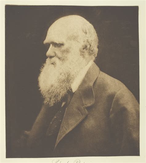 Charles Darwin By Julia Margaret Cameron Fine Art Print