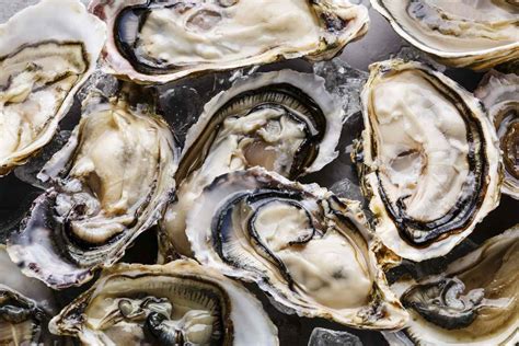 Recipe Scalloped Oysters Southern Living Besto Blog