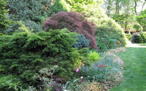 Thought of as the spine and bones of good landscaping, small shrubs hold the soft body of flowers together and add consistency between areas. Introduction to Woody Plants | Landscaping shrubs, Garden ...