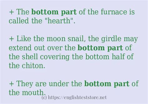 Example Uses In Sentence Of Bottom Part Englishteststore Blog
