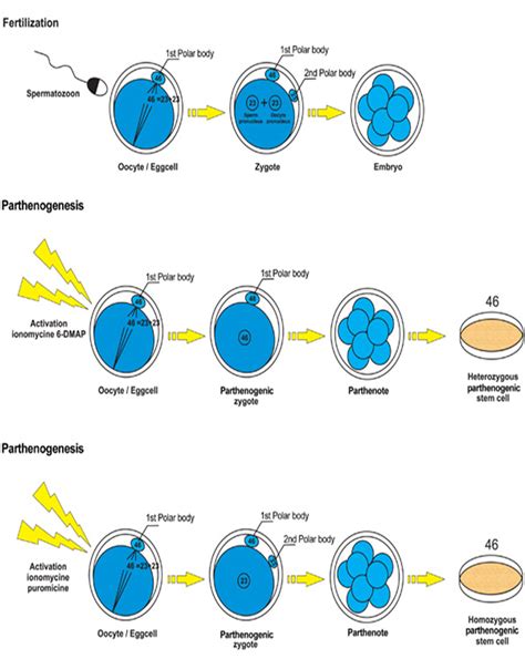 Berbagi Ilmu Biologi