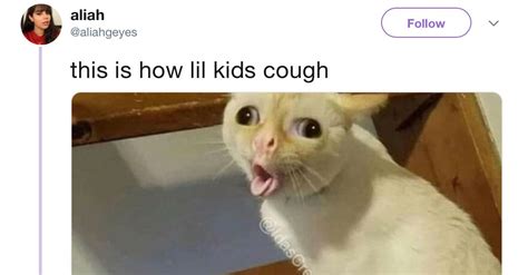 This shouldn't be too difficult if it happens as often as you say. The Coughing Cat Is Maybe the Last Meme to Win the ...