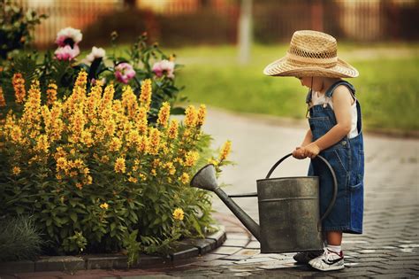 Snapblooms connects you with the best florists in your area to order flowers online for delivery with a personal touch that supports local business. The best time to water your plants during a heatwave