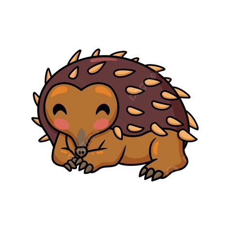 Cute Little Echidna Cartoon Character Zoology Character Critter Png