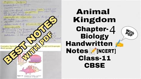 4 Animal Kingdom Classification Biology Notes For
