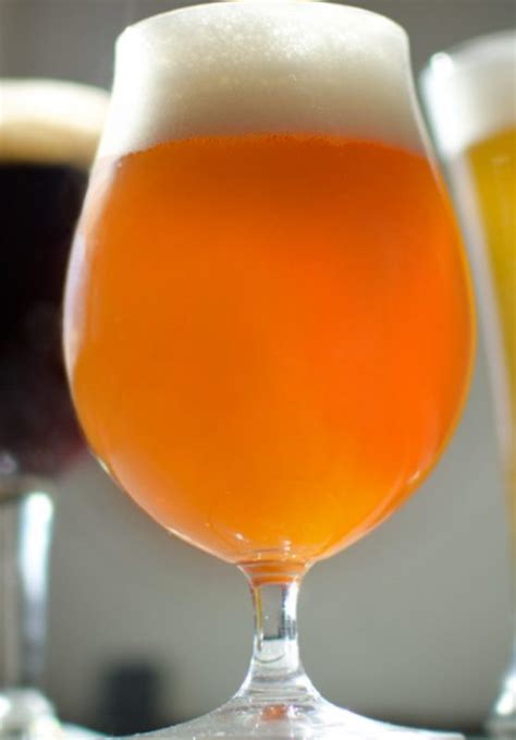 New england flowers in the haze. New England IPA: The Haze Craze | American Homebrewers ...