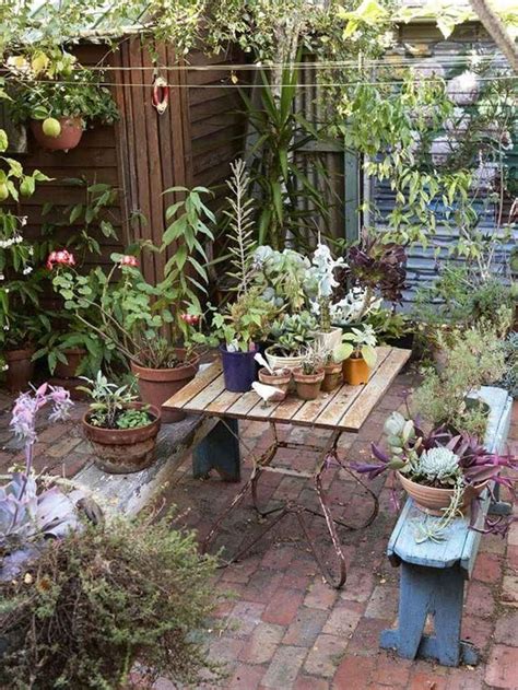 Small Courtyard Planting Ideas