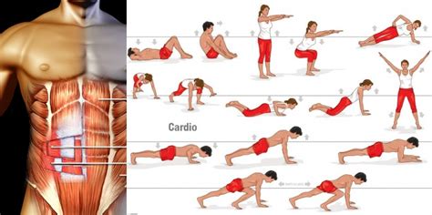 Six Pack Abs How Cardio Is The Best Way All