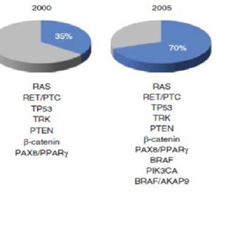 • t3 and t4 synthesis in thyroid is regulated by tsh. Molecular Pathway in Thyroid Cancer. The molecular ...