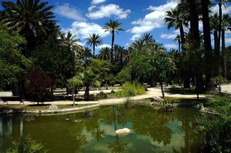 Elche or elx is a city and municipality of spain, belonging to the province of alicante, in the valencian community. Zdjęcia: Elche, Alicante, Palmowy ogród, HISZPANIA