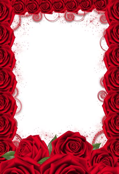 Red Rose Transparent Png Frame Red Roses Wallpaper Red Roses