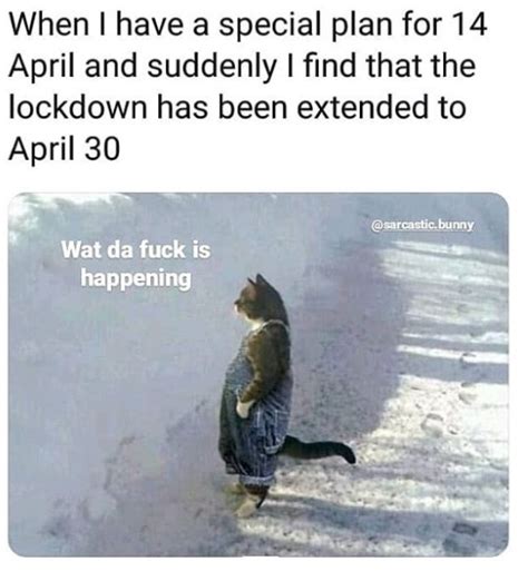 Browse the internet while using respondus lockdown browser or itslearning test mode browser. When You Learn That Lockdown Is Extended In India