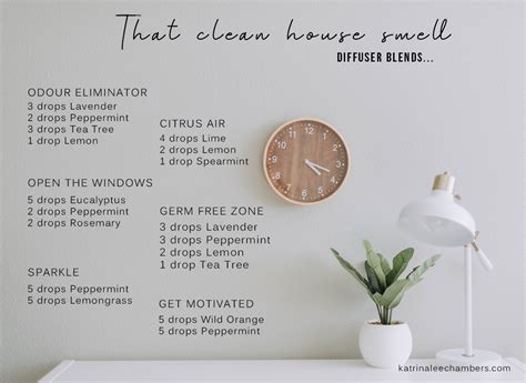 When learning how to clean a diffuser, it is important to remember that water and electricity don't mix! That clean house smell diffuser blends