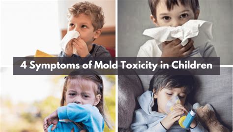 Symptoms Of Mold Toxicity In Children Pediatric Mold Signs
