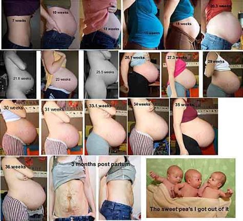 Amazing 6 Week Baby Twin Belly Baby Bump Progression Pregnancy