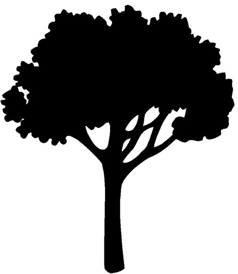 Oak Tree Silhouette Vector Free At Collection Of Oak