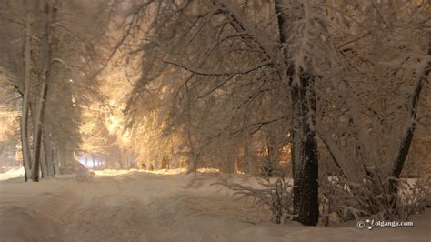 Winter Realm In Yaroslavl Russia Exclusive Hd Wallpapers