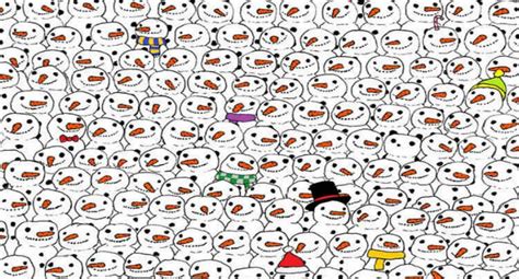 Can You Find The Hidden Panda In This Picture I Couldnt See The