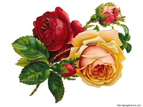 Beautiful rose in the style of black and white engraving. 40 Beautiful Flower Drawings and Realistic Color Pencil ...