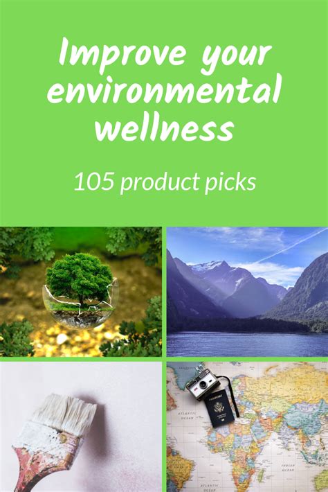 Improve Your Environmental Wellness 105 Product Picks For