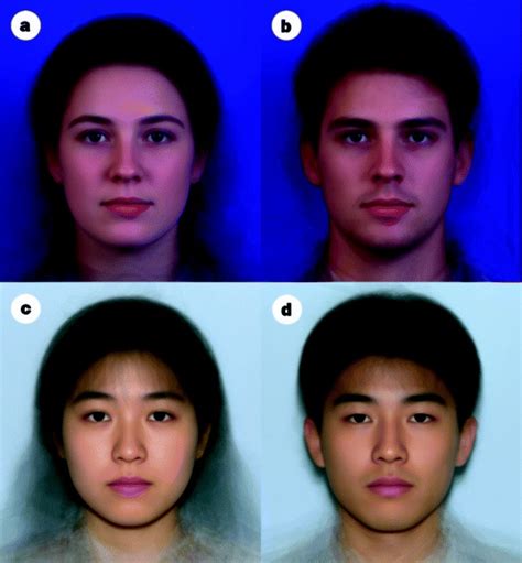 Composite Average Facial Imagesa Caucasian Female Face B