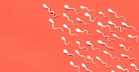 13 Facts About Semen And Sperm Composition Volume And More