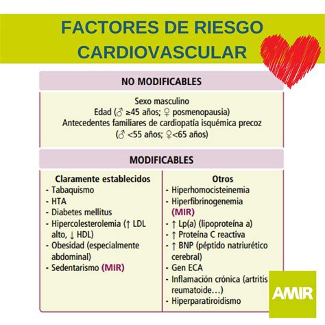 Medicina Y Melodía El Riesgo Cardiovascular