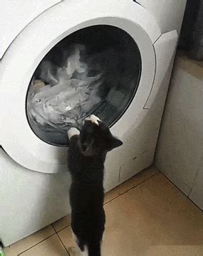 Other Funny Gifs http://gif-tv.tumblr.com/ And Funny ...