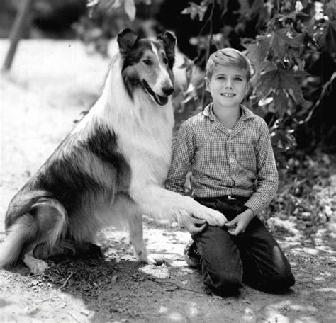 Lassie 1954 Starring Michael James Wixted Ron