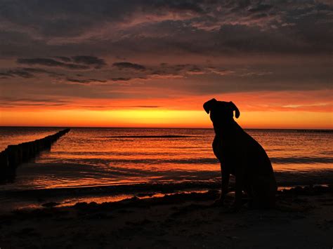 Jens hessel is on facebook. Fischland Darß - Ferienhaus Ankerherz direkt am Ostsee ...