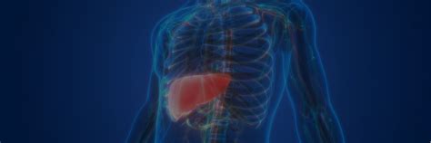 Cro For Nonalcoholic Steatohepatitis Nash Clinical Trials Worldwide