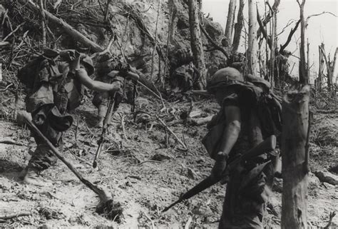 Members Of 9th Marine Regiment Secure A Hilltop 1969 Flickr Photo