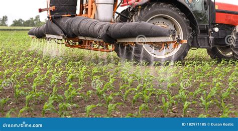 Tractor Spraying Corn Field Stock Image Image Of Fertilizer Machinery 182971185