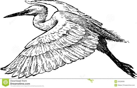 Image Result For Heron Stencil Wings Drawing Birds Flying Ceramic Art