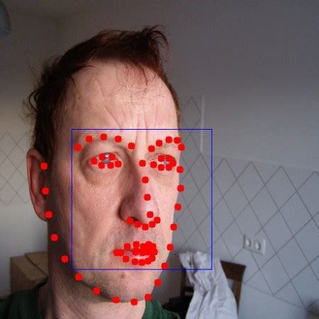 Detect Face Landmarks In Real Time Opencv Python Computer Landmark Detection With Source