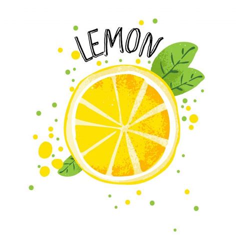 Vector Hand Draw Lemon Illustration Half And Slice Of Lemons With