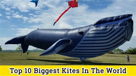 Top 10 Biggest Kites In The World Youtube