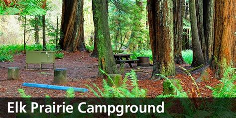 Redwood national park rv campgrounds. Developed Campgrounds - Redwood National and State Parks ...