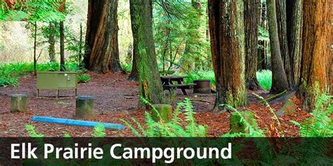 Summer is the busy time here and it is a good idea to book your campsite in advance at that time of year. Developed Campgrounds - Redwood National and State Parks ...