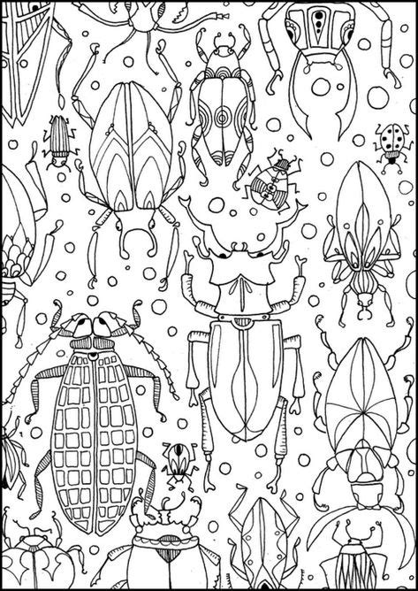 75 idées de Insectes arts visuels  insectes, arts visuels, art d'insecte