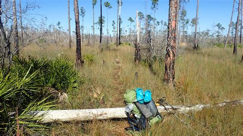 Backpacking In Florida Florida Hikes