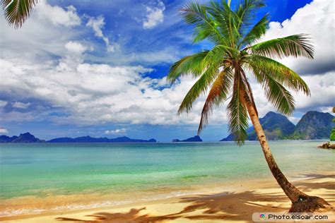 Free Download Beautiful Relaxing Tropical Scenery 1800x1200 For Your