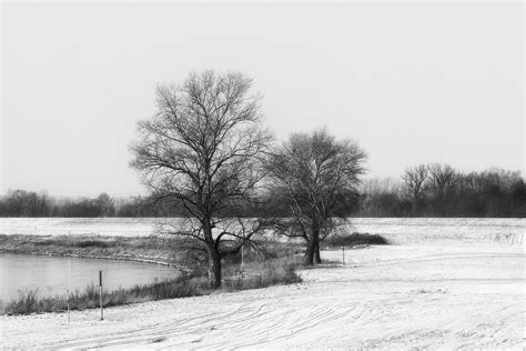 Free Images Landscape Tree Water Branch Snow Cold Winter Black