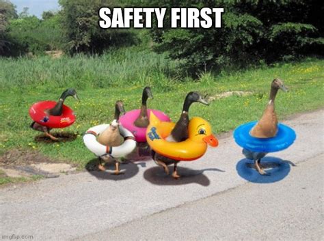 Image Tagged In Duckssafety Firstfunnyfunny Memeslol Imgflip