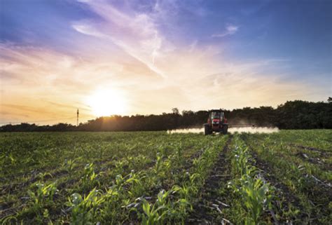 What happens when pests resist all forms of herbicides and pesticides? Center for Food Safety | Blog | | The Root of the Rootworm ...