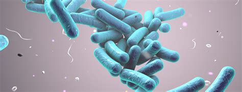 Probiotics As Novel Foods Global Regulatory Hurdles Pen And Tec