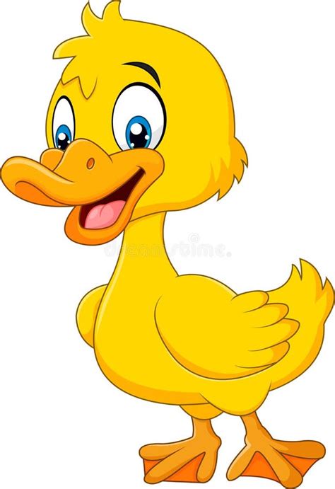 Baby Duck Stock Illustrations 23264 Baby Duck Stock Illustrations